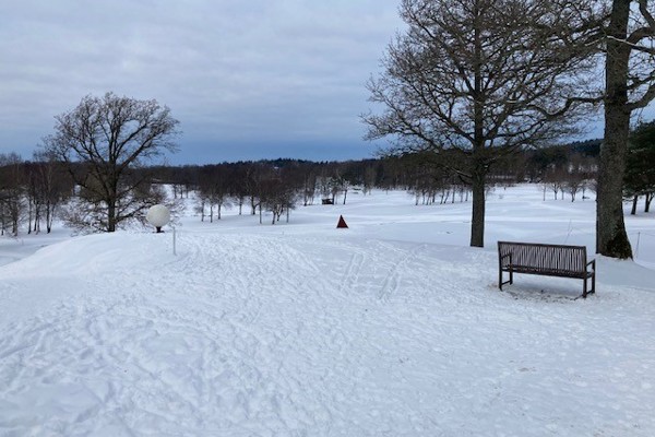 Ändring av medlemskap