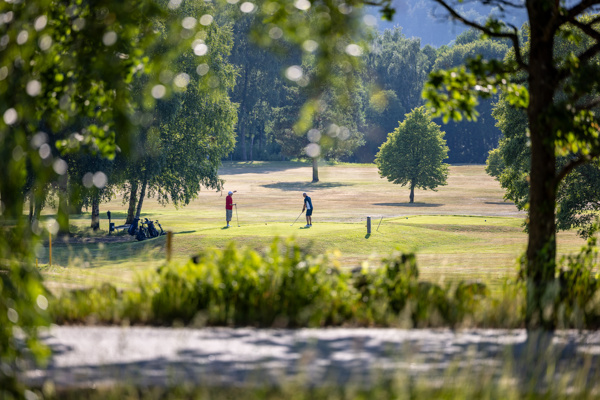 Albatross damers vårmiddag 2026