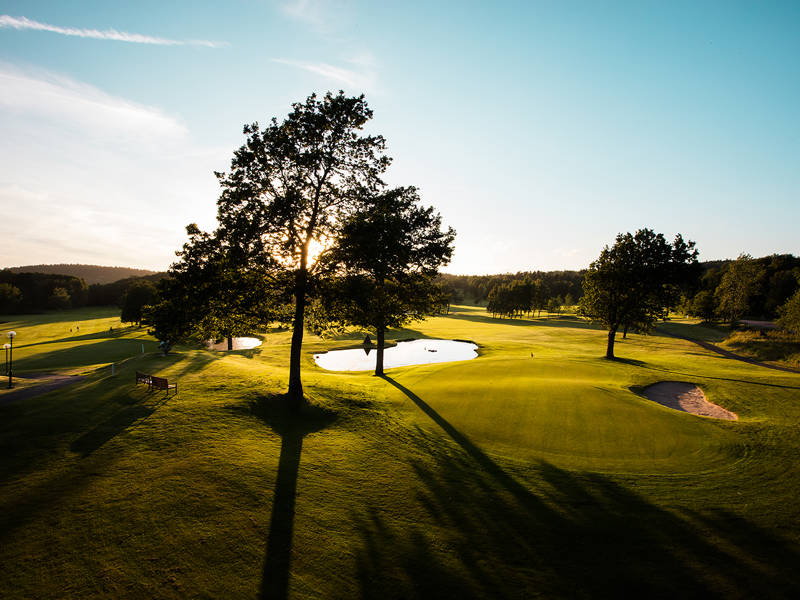 Kallelse till Årsmöte våren 2026