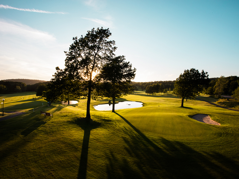 Kallelse till Årsmöte våren 2026