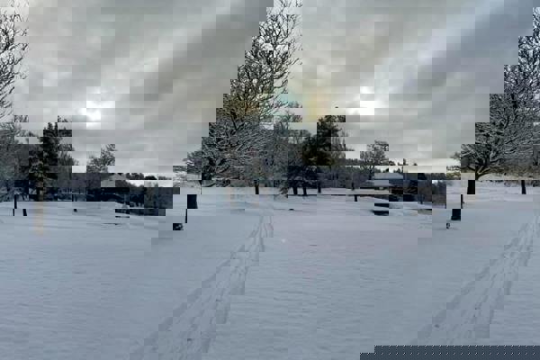 En magisk operakväll med Trivselkommittén