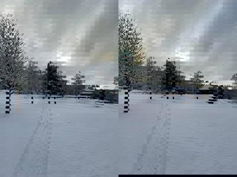 En magisk operakväll med Trivselkommittén