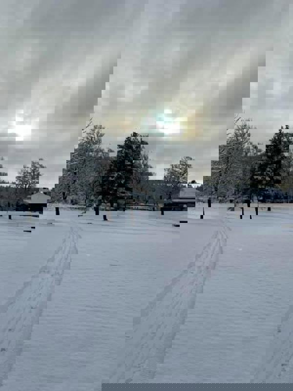 En magisk operakväll med Trivselkommittén